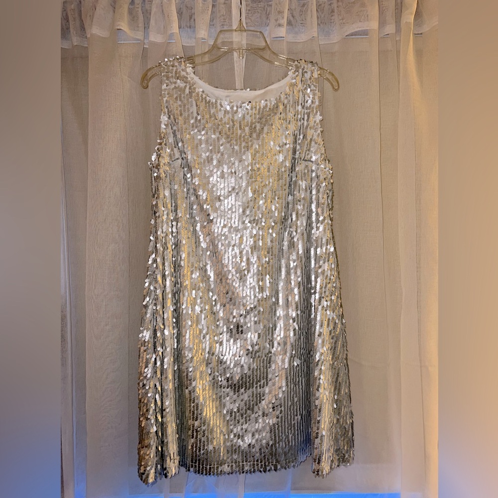 Silver Sparkle Swing Dress | NWT